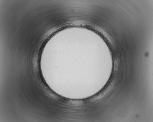 X0000116430778201001191510