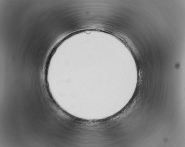 X0000116430780201001191510
