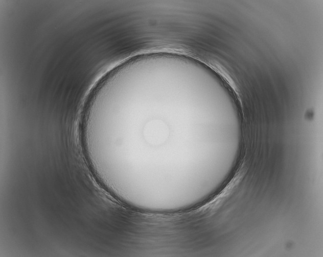 X0000116430781201001191510