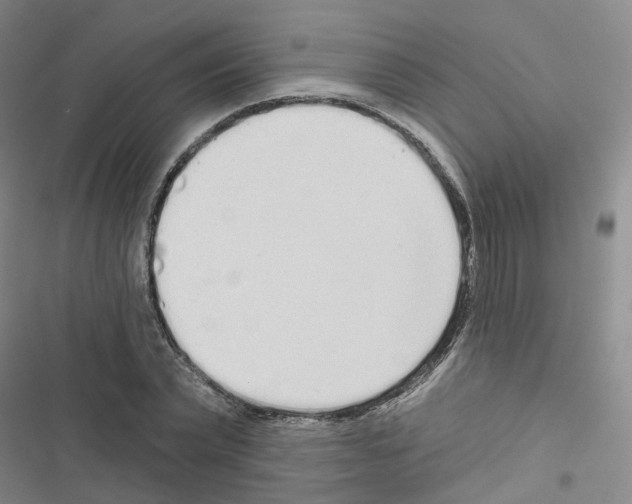 X0000116430783201001191510