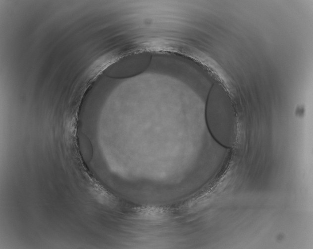 X0000116430785201001191510