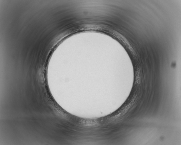 X0000116430786201001191510