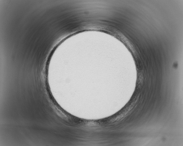 X0000116430787201001191510