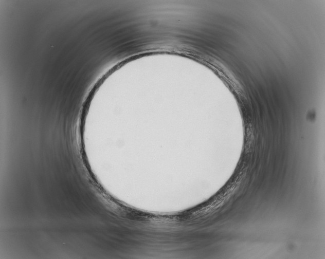 X0000116430788201001191510