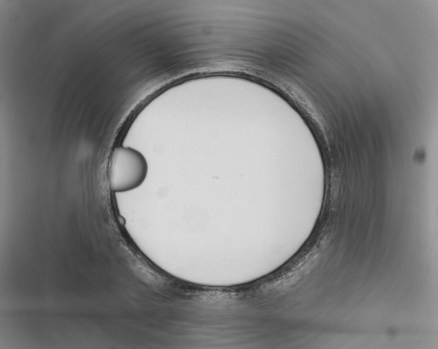X0000116430789201001191510