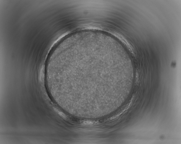 X0000116430790201001191510