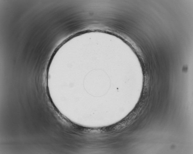 X0000116430791201001191510