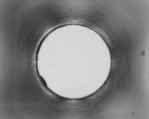 X0000116430792201001191510