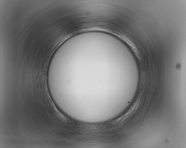 X0000116430793201001191510