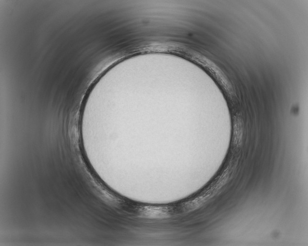 X0000116430794201001191510