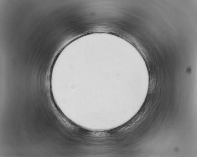 X0000116430795201001191510