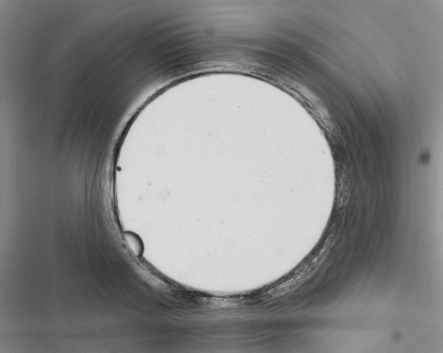 X0000116430796201001191510