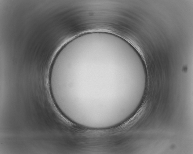 X0000116430797201001191510