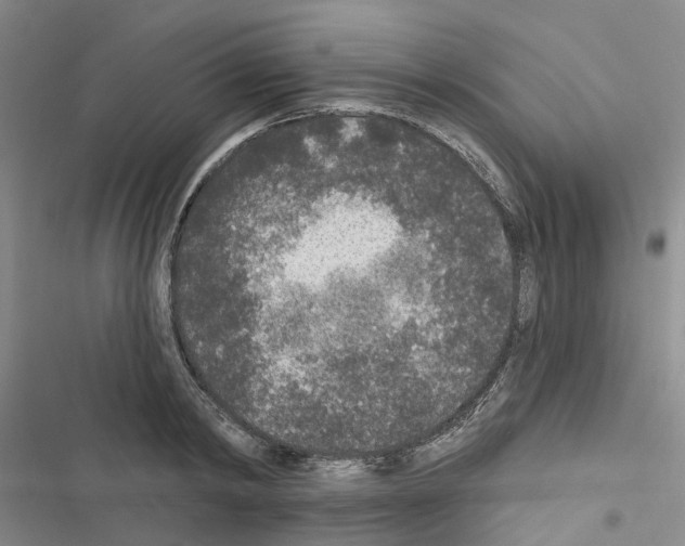 X0000116430798201001191510