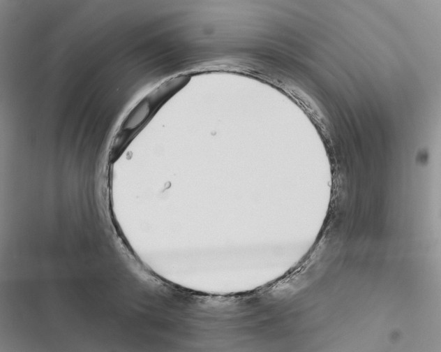 X0000116430800201001191510
