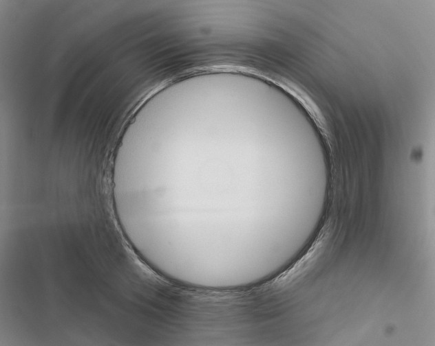 X0000116430801201001191510