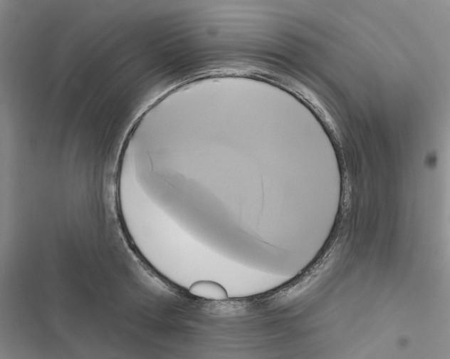 X0000116430802201001191510
