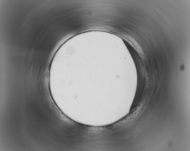 X0000116430804201001191510