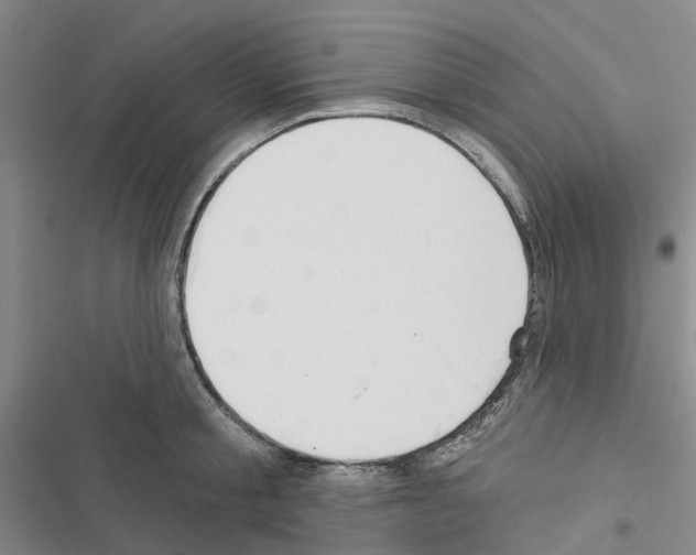 X0000116430805201001191509