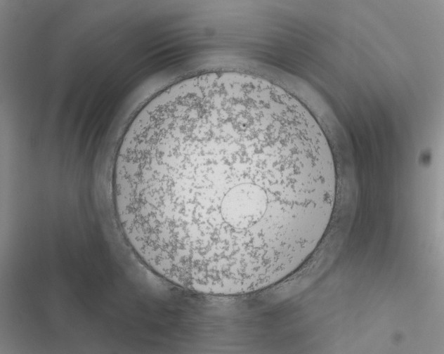 X0000116430807201001191509