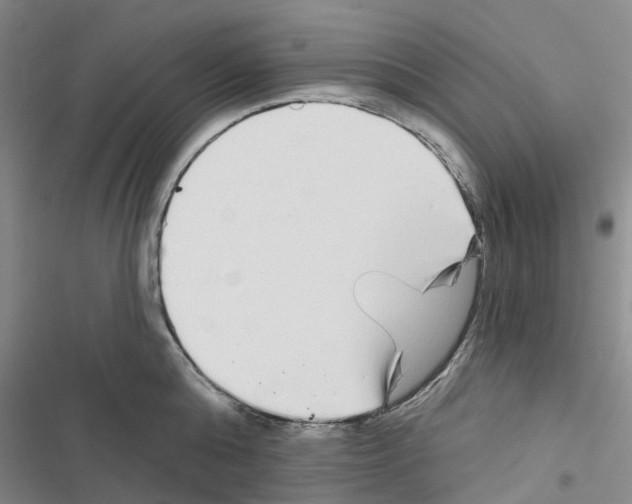 X0000116430808201001191509
