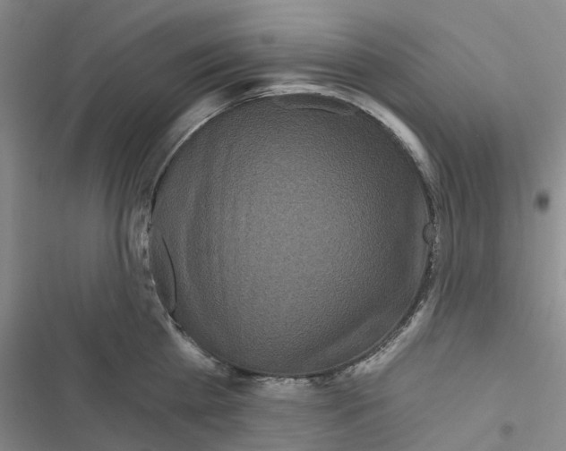 X0000116430809201001191509
