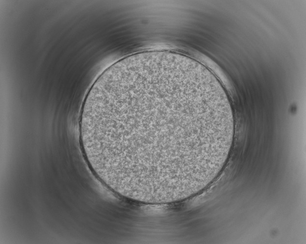 X0000116430810201001191509