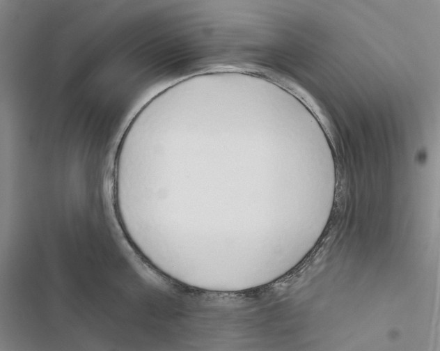 X0000116430811201001191509