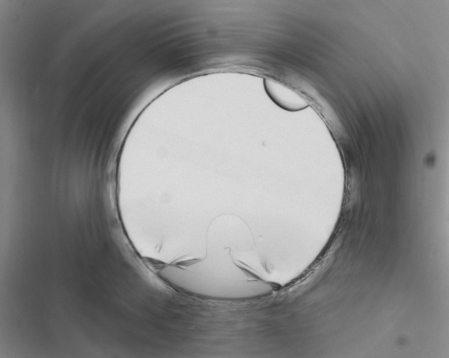 X0000116430812201001191509