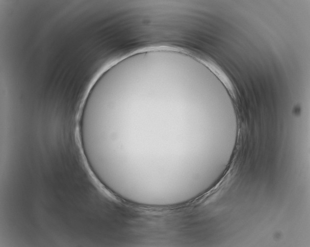 X0000116430813201001191509