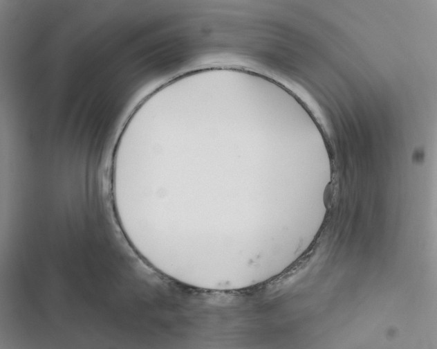X0000116430815201001191509