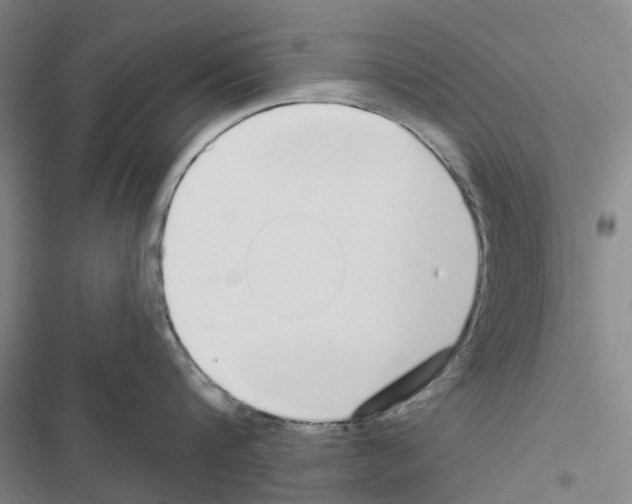 X0000116430816201001191509