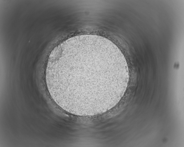 X0000116430817201001191509