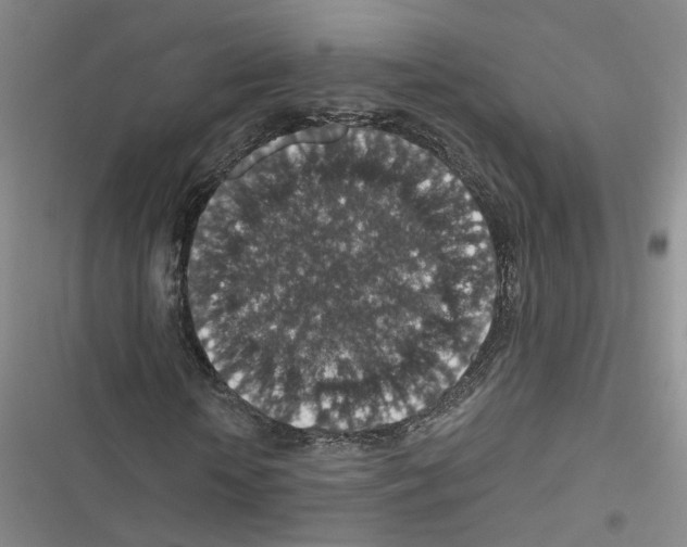 X0000116430818201001191509