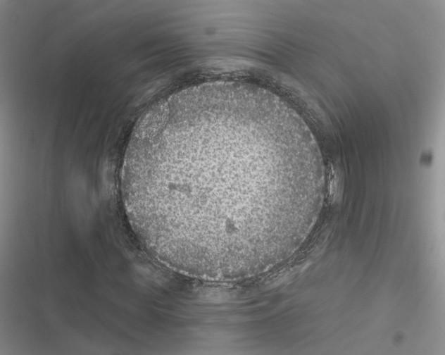 X0000116430819201001191509