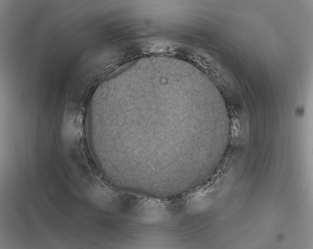 X0000116430820201001191509