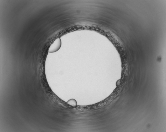 X0000116430821201001191509