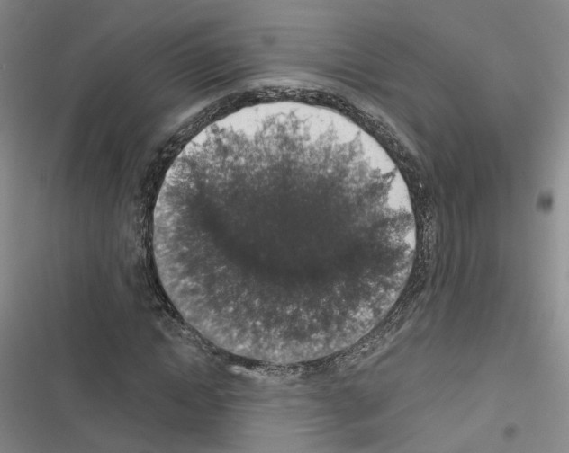 X0000116430822201001191509