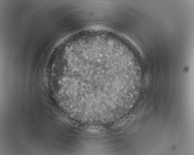 X0000116430823201001191509