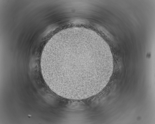 X0000116430824201001191509