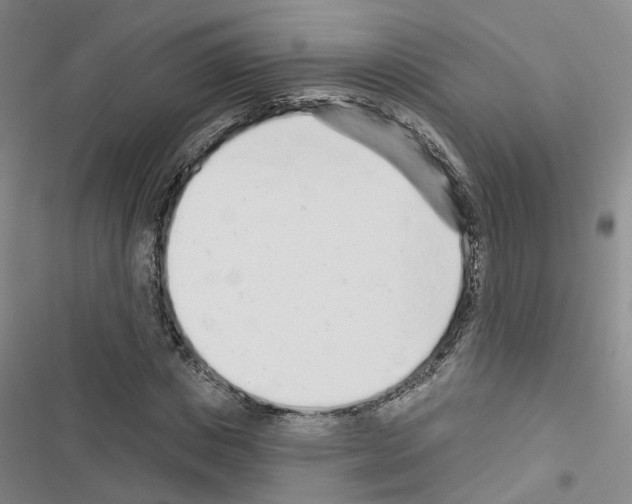X0000116430825201001191509