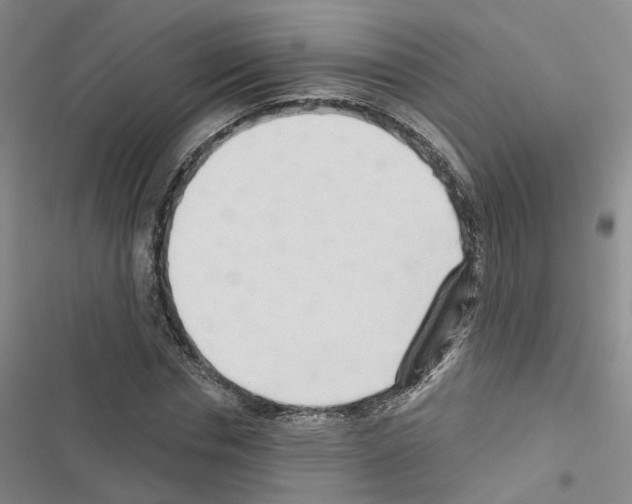 X0000116430826201001191509