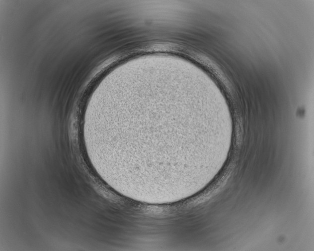 X0000116430827201001191509