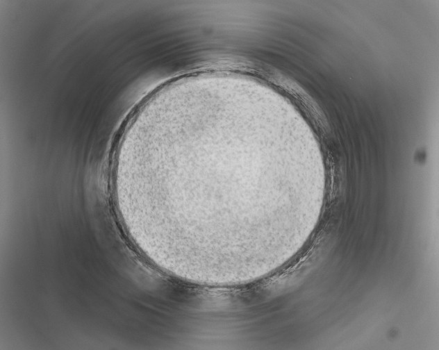 X0000116430828201001191509
