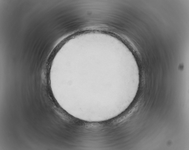 X0000116430830201001191509