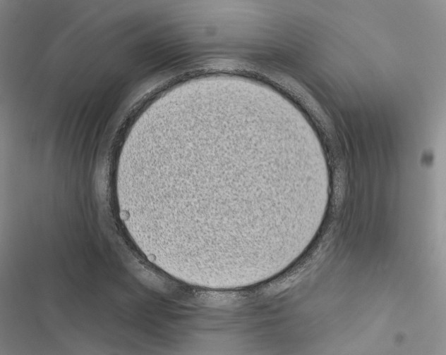 X0000116430831201001191509