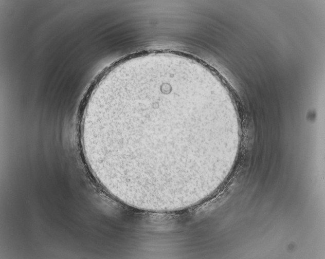 X0000116430832201001191509