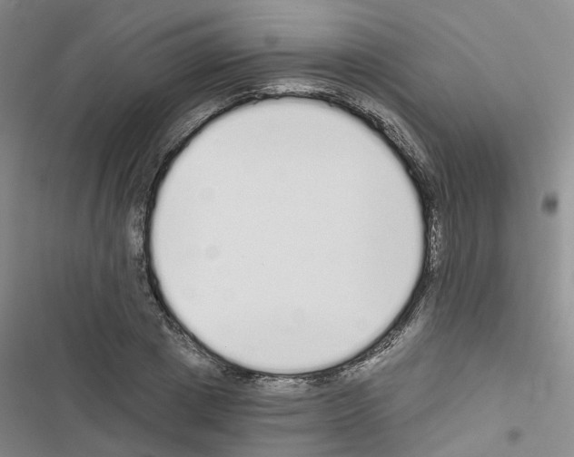 X0000116430833201001191509