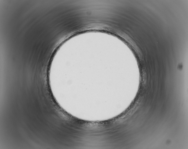 X0000116430834201001191509