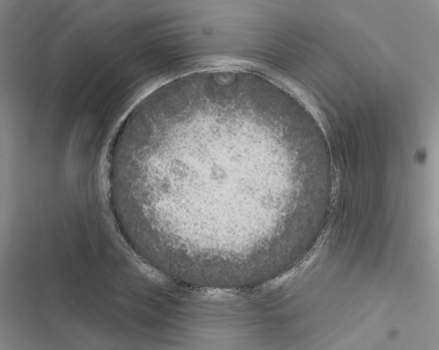 X0000116430835201001191509
